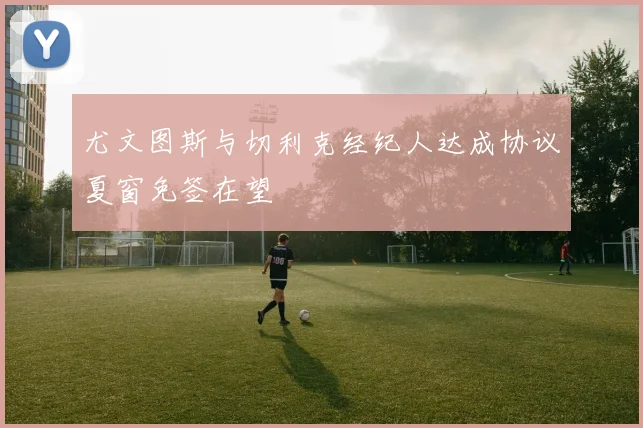 尤文图斯与切利克经纪人达成协议夏窗免签在望