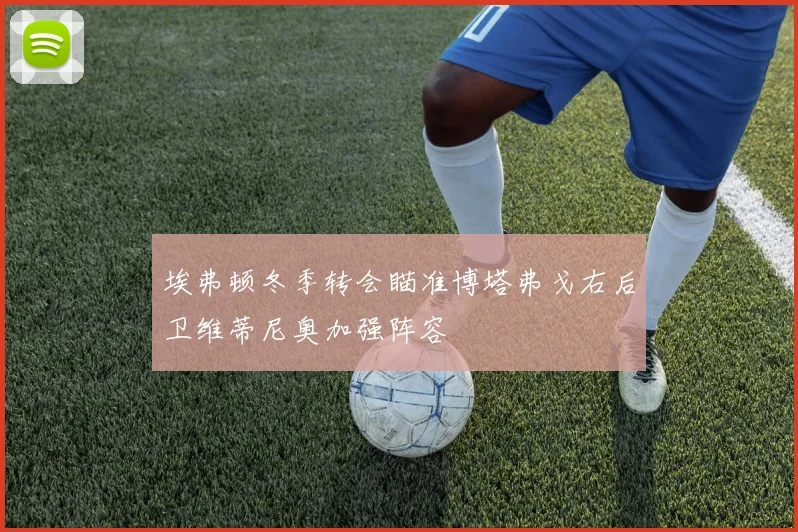 埃弗顿冬季转会瞄准博塔弗戈右后卫维蒂尼奥加强阵容