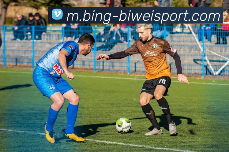 必威体育服务体系